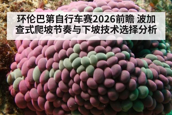 环伦巴第自行车赛2026前瞻 波加查式爬坡节奏与下坡技术选择分析